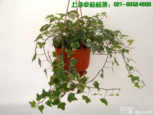 上海室內(nèi)空氣質(zhì)量檢測中心-上海CMA檢測報告