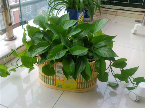 上海室內(nèi)空氣質(zhì)量檢測中心-上海CMA檢測報告