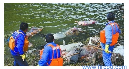 上海室內(nèi)空氣質(zhì)量檢測中心-上海CMA檢測報(bào)告